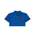 Alternate image 1 for Ralph Lauren Boy's Polo Shirts Gray  Size 4