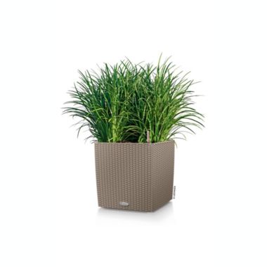 Lechuza USA 16" Sand Brown All In One Cube Wicker Planter. View a larger version of this product image.