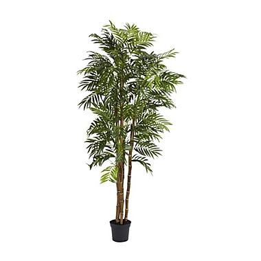 Nearly Natural 6&#39; Bella Palm Silk Tree Green. View a larger version of this product image.