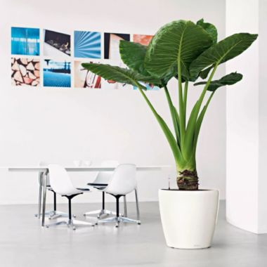 Lechuza USA 20" White Round Classico Planter with Water Reservoir. View a larger version of this product image.