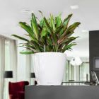 Alternate image 1 for Lechuza USA 11" Glossy Black Round Classico Planter with Water Reservoir