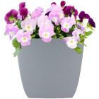 Alternate image 1 for The HC Companies Santa Fe Square Plastic Planter, Pebble Gray - 16" x 16"