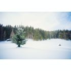 Alternate image 1 for Tree Nest Medium Red Geometric Christmas Tree Stand