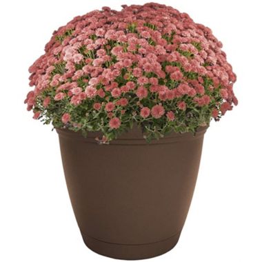The HC Companies Eclipse Round In/Outdoor Plastic Planter, Chocolate, 12". View a larger version of this product image.