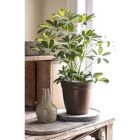 Alternate image 2 for The HC Companies Eclipse Round In/Outdoor Plastic Planter, Chocolate, 12"