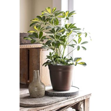 The HC Companies Eclipse Round In/Outdoor Plastic Planter, Chocolate, 12". View a larger version of this product image.