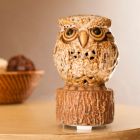 Alternate image 1 for Scentsationals 1-Fragrance Fan Unit and 1 Decorative Canopy Aromabreeze Fragrance Diffuser - Owl