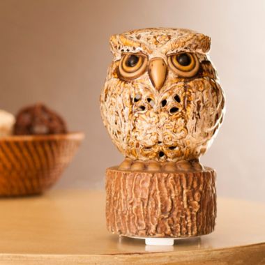 Scentsationals 1-Fragrance Fan Unit and 1 Decorative Canopy Aromabreeze Fragrance Diffuser - Owl. View a larger version of this product image.