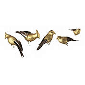 Napa Home & Garden 5ct Black and Gold Shatterproof Gilded Bird Christmas Ornaments 8.5"