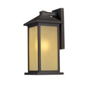 Z-Lite Outdoor Wall Light - Tinted Seedy