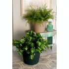 Alternate image 2 for The HC Companies (#LIA08000B9) Classic Garden Planter, 8 - Evergreen