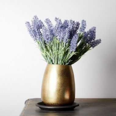 Juvale Plastic Plant Saucer Trays (6 in, Black, 15 Pack). View a larger version of this product image.