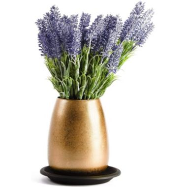 Juvale Plastic Plant Saucer Trays (6 in, Black, 15 Pack). View a larger version of this product image.