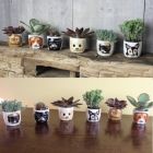 Alternate image 2 for Cat Planter Pot - 6 Mini Succulent Kitty Pots - Cute Flower Pots For Indoor Plants - Cat