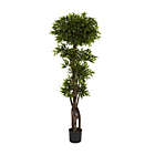 Alternate image 0 for Nearly Natural 5400 Ruscus Tree, 5-Feet, Green