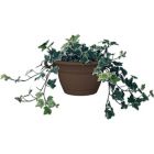 Alternate image 1 for The HC Companies Eclipse Round Hanging Basket, Chocolate, 12''