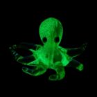 Alternate image 2 for Beachcombers Glowing Glow in the Dark Octopus Glass Art Figurine 6 Inch