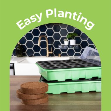 Window Garden 20 Cavity Seed Propagation Kits (2) Complete With Fiber Soil. View a larger version of this product image.