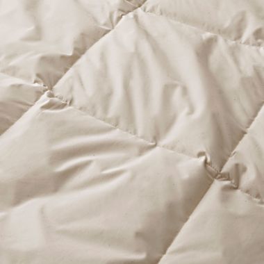 Unikome All Season White Goose Fiber Comforter Organic Cotton Fabric in Off White, Full/Queen. View a larger version of this product image.