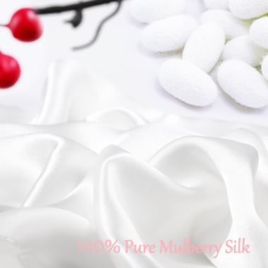 PiccoCasa 100% Silk Pillowcase for Hair and Skin, Both Side 400 Thread Count Solid Pillow Protector 19 Momme Silk Pillow Cases with Hidden Zipper, 1 Piece, Standard/20x26inch Snow White. View a larger version of this product image.