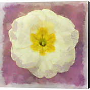 Metaverse Art Primrose White by Cora Niele 12-Inch x 12-Inch Canvas Wall Art