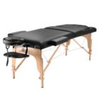 Alternate image 1 for Saloniture Professional Portable Massage Table with Backrest