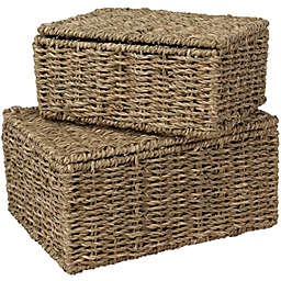 Rectangular Nesting Wicker Storage Boxes with Lids and Metal Steel Frame (Set 2)