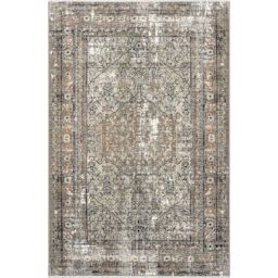 nuLOOM Charvi Distressed Medallion Fringe Area Rug