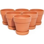 Juvale 6 Pack Small Terracotta Pots with Round Saucers for Succulents, Plants, Flowers (4 In)