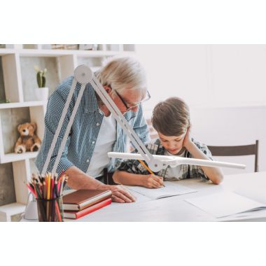 Daylight Lumi Task Lamp - U35500 - Adjustable Brightness - LED - Flexible Shade. View a larger version of this product image.