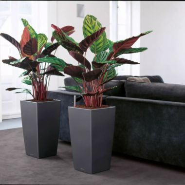 Lechuza USA 30" Black Cubico Premium Planter with Water Reservoir. View a larger version of this product image.