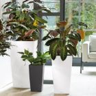 Alternate image 2 for Lechuza USA 30" Black Cubico Premium Planter with Water Reservoir