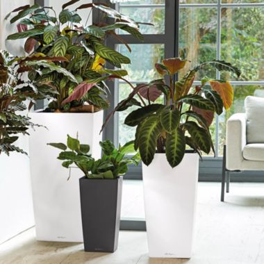 Lechuza USA 30" Black Cubico Premium Planter with Water Reservoir. View a larger version of this product image.