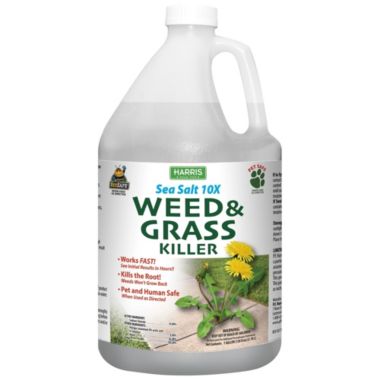 Harris Sea Salt 10X Organic Weed & Grass Killer, 1 Gallon. View a larger version of this product image.