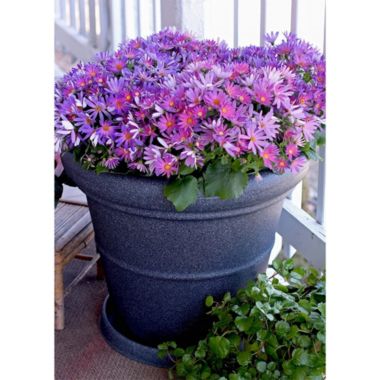 The HC Companies (#TEA20000E21) Terrazzo Round Pot Planter, Chocolate 20". View a larger version of this product image.