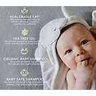 Alternate image 2 for Bella B Naturals Bee Gone Cradle Cap Baby Shampoo (2-Pack),