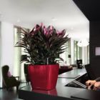 Alternate image 1 for Lechuza USA 11" Red Quadro Planter with Water Reservoir