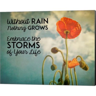 Great Art Now Without Rain Nothing Grows Color by Color Me Happy 20-Inch x 16-Inch Canvas Wall Art