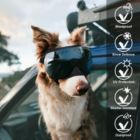 Alternate image 2 for Ownpets Dog Sunglasses with Magnetic Lenses and Replaceable Lenses, UV Protection, Wind Protection, Dust Protection and Snow Protection, Suitable for Medium or Large Dog