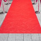Alternate image 1 for Juvale Red Aisle Runner for Wedding, Banquets, Prom Night, Runway Carpet for Movie Themed Party Decorations (40 gsm, 3 x 50 Feet)