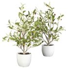 Alternate image 0 for Nearly Natural Set of 2 Artificial Silk Olive Tree with White Vase 18"