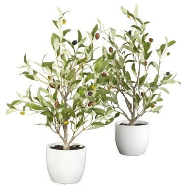 Nearly Natural Set of 2 Artificial Silk Olive Tree with White Vase 18". View a larger version of this product image.