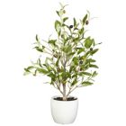 Alternate image 2 for Nearly Natural Set of 2 Artificial Silk Olive Tree with White Vase 18"