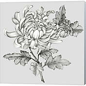 Great Art Now Grey Botanical II by Eva Watts 24-Inch x 24-Inch Canvas Wall Art
