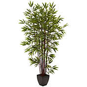 HomPlanti 6" Bamboo Silk Tree w/Planter