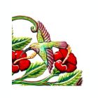 Alternate image 3 for Global Crafts Multi Hummingbirds And Flowers Haitian Metal Drum Wall Art Miscellaneous