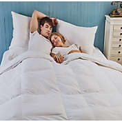 Egyptian Linens - Duet Goose Comforter Individualized Warmth for Him & Her