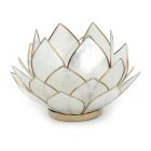 Alternate image 0 for Contrast Natural White Capiz Shell Opening Lotus Flower Bulb Tealight Candle Holder