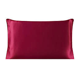 PiccoCasa 100% Mulberry Silk Fabric Pillowcase, Standard(20