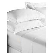 Paoletti Cotton Fitted Sheet